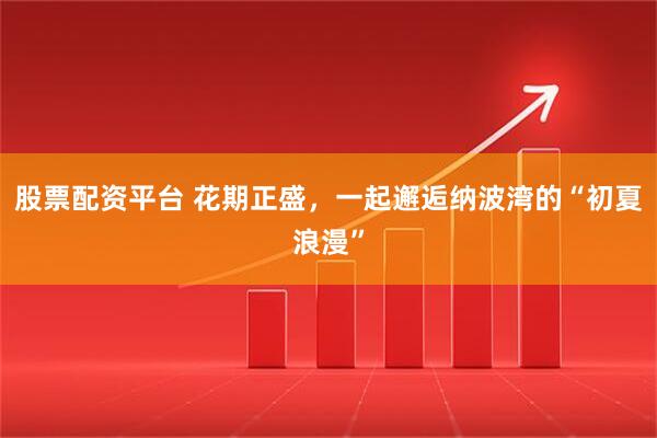 股票配资平台 花期正盛，一起邂逅纳波湾的“初夏浪漫”