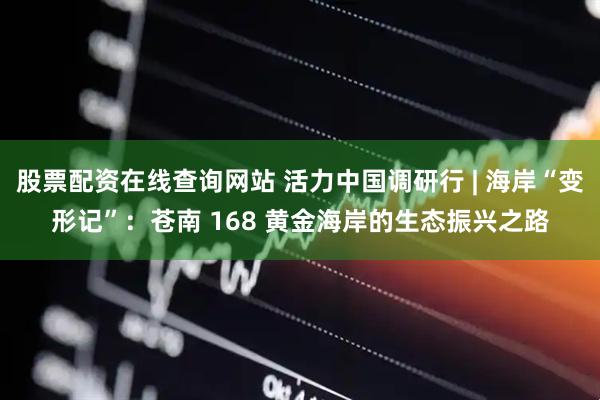 股票配资在线查询网站 活力中国调研行 | 海岸“变形记”：苍南 168 黄金海岸的生态振兴之路